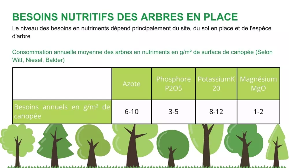 arbres en ville en place, besoins nutritifs