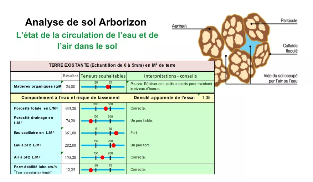 Arbre en ville analyse arborizon exemple analyse circulation eau et air dans le sol