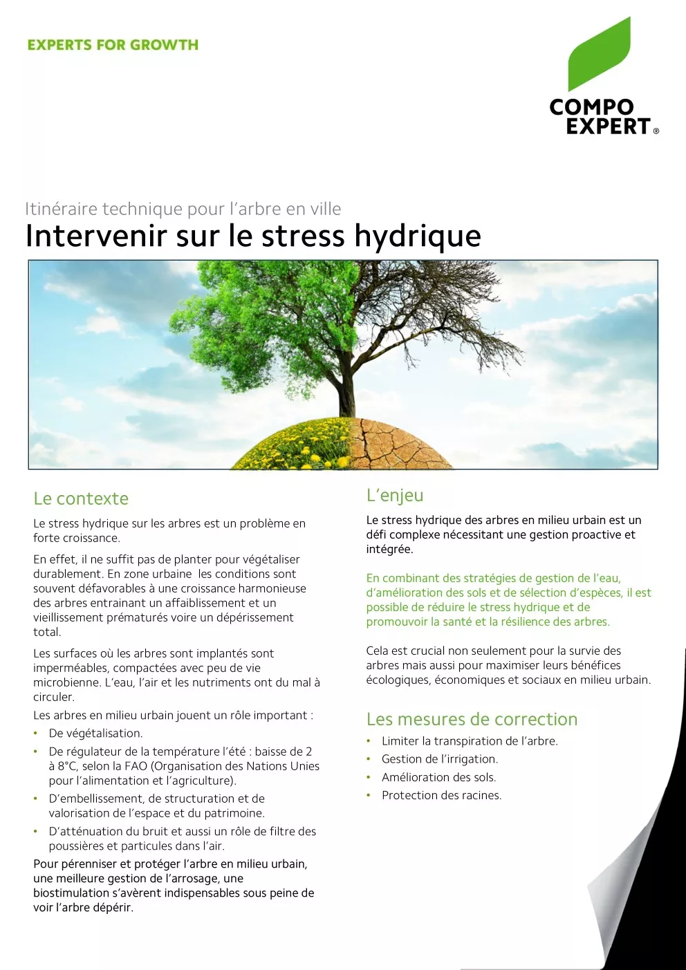 arbre en ville_itineraire_stress hydrique, biostimulant