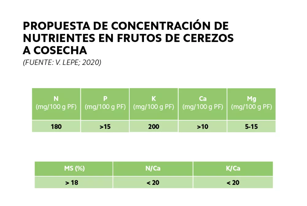 Figura 2: Rangos nutricionales en la fruta al momento de la cosecha y referencia de relaciones de importancia para lograr frutas de alta calidad y condición.