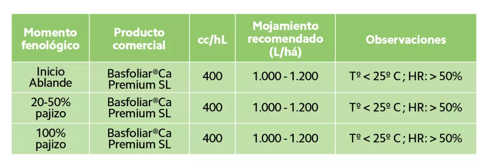 procesos fisiológicos que ocurren durante la maduración