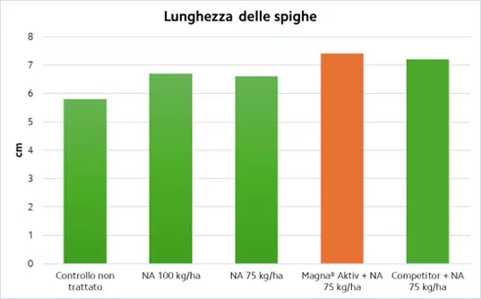 magna grano 1