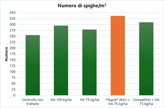 magna grano 2