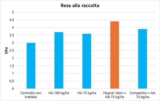 magna grano 3