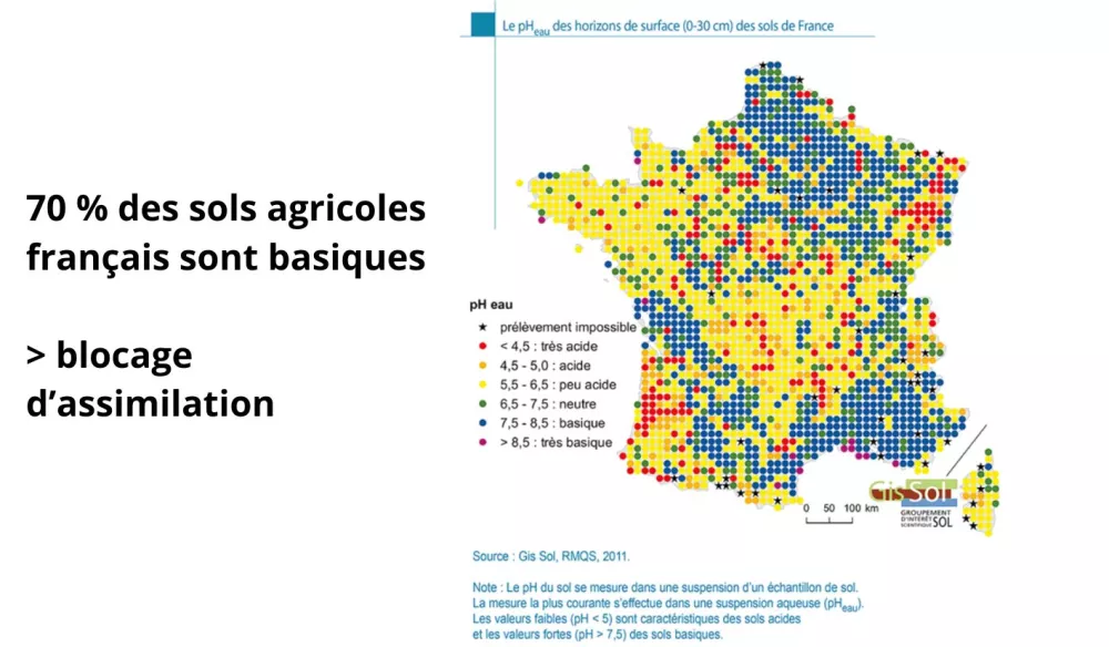 rôle racines absorption éléments nutritifs et eau_carte france sols