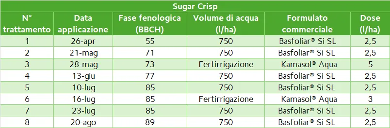 tab 3 table grape