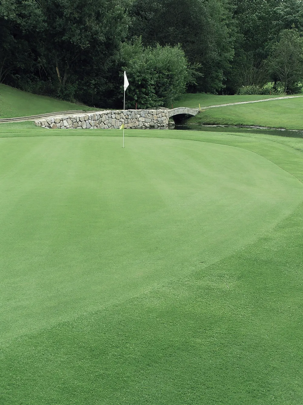 turf-public green_golf turf-v