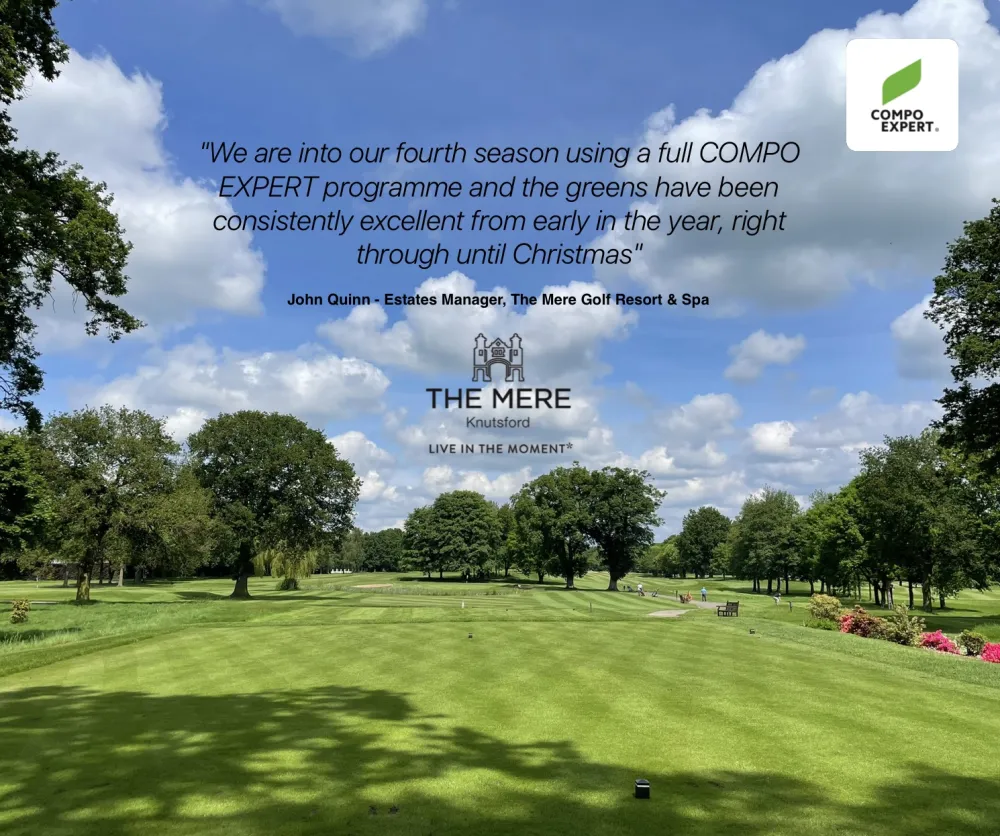 The Mere Testimonial