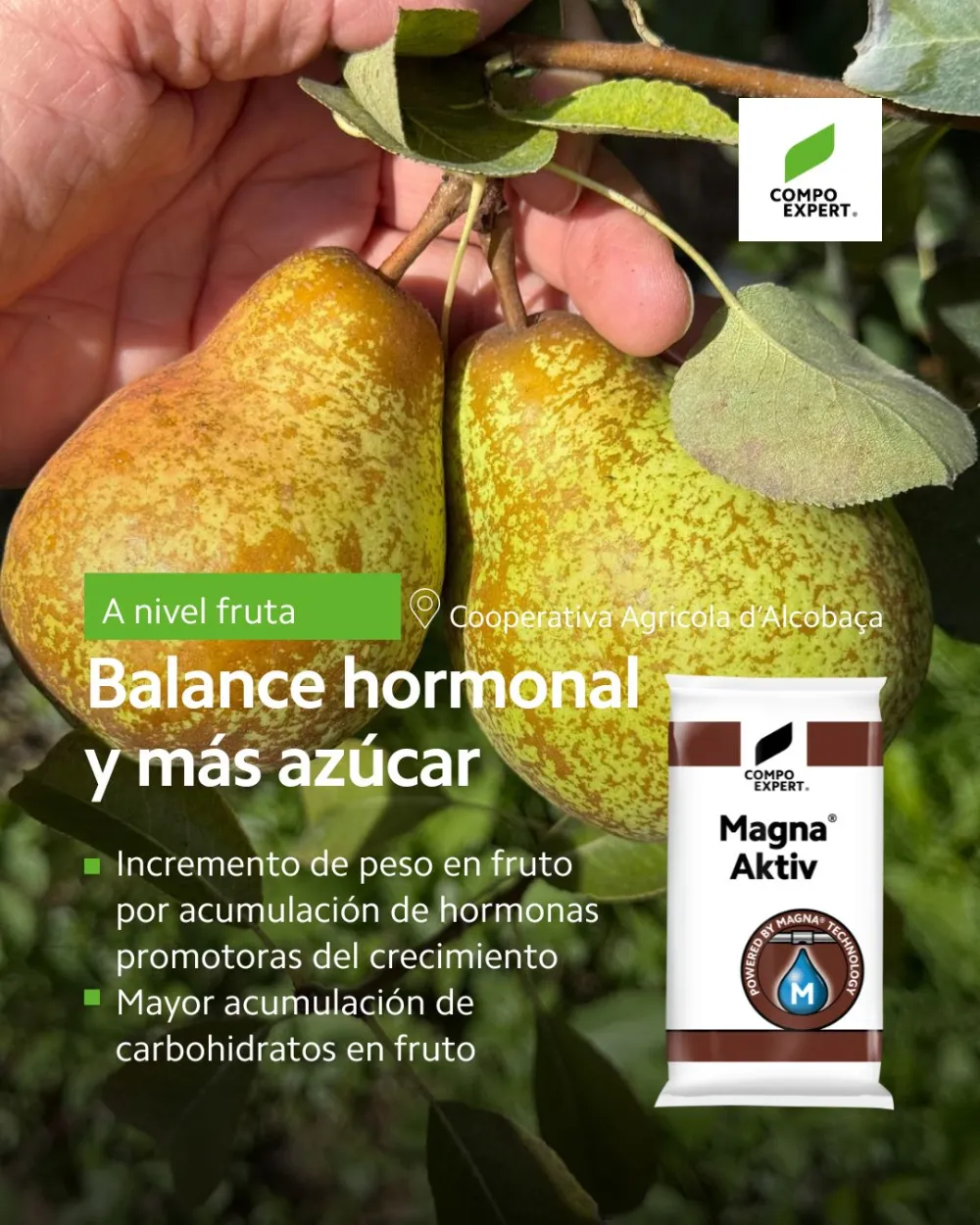 Equilibrio hormonal en peral y manzano