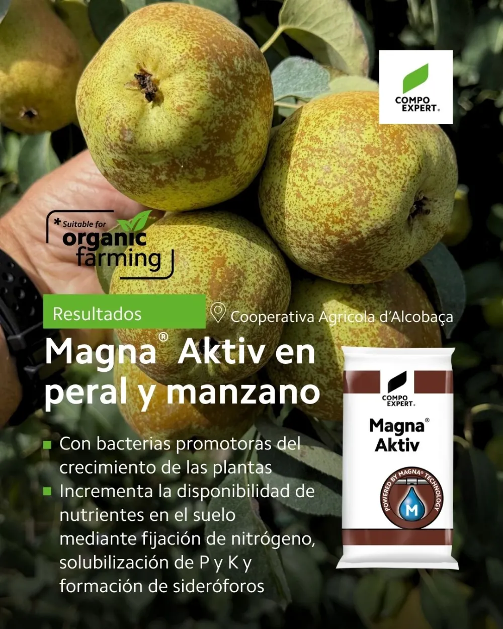 Bioestimulante aplicado a peral y manzano. Uso en pomoideas