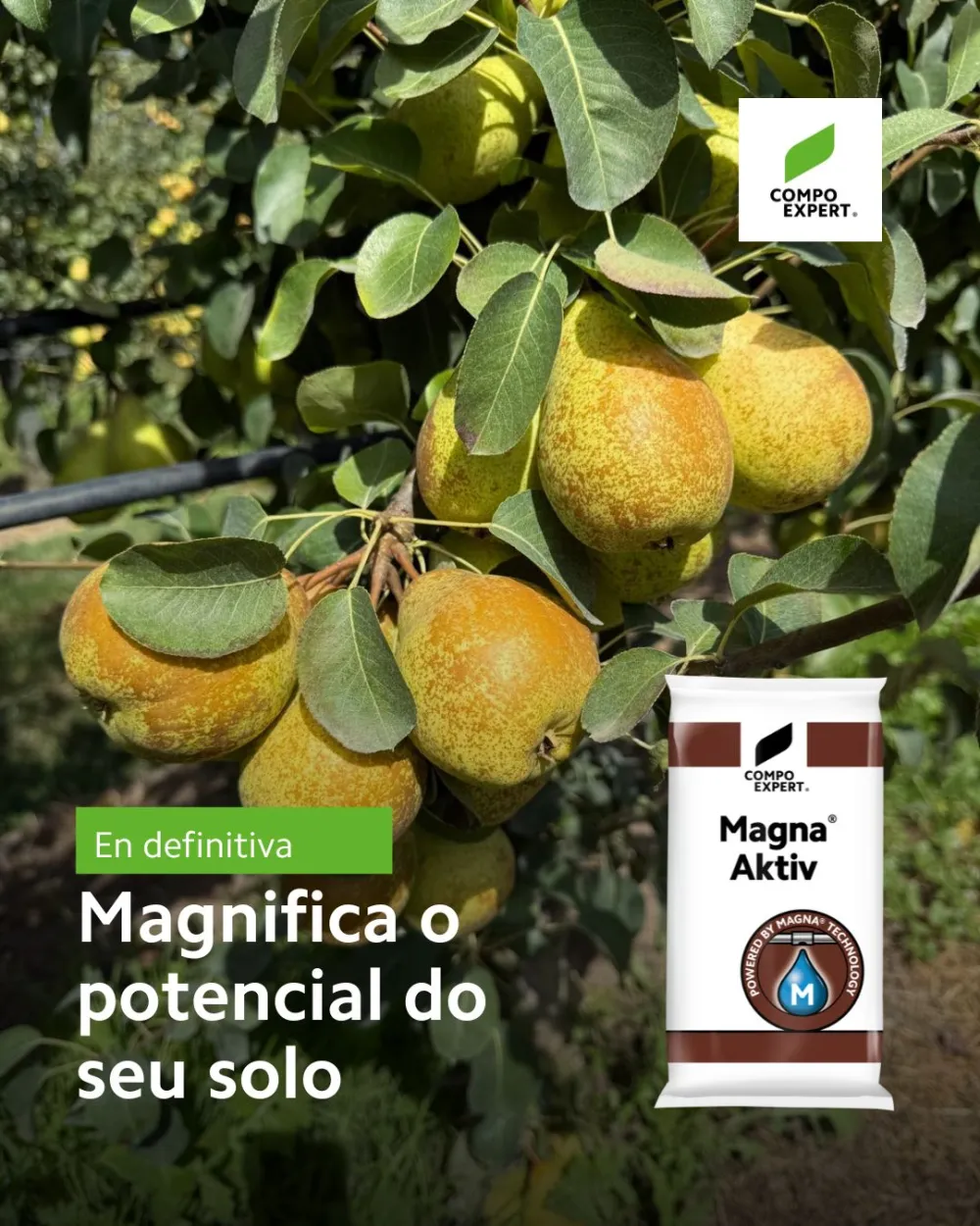 Bioestimulante para macieiras e pereiras