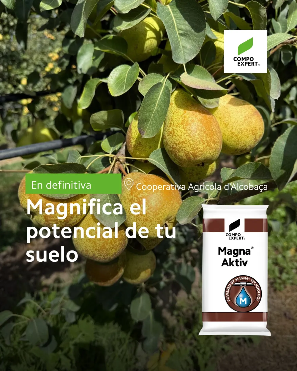 Bioestimulante para peral y manzano