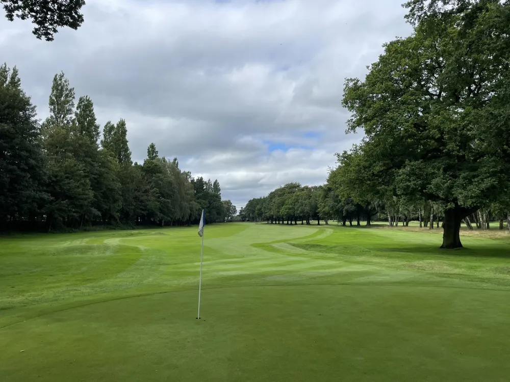 Green & fairway