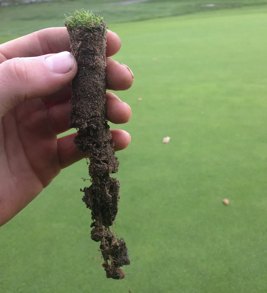 Turf Trials