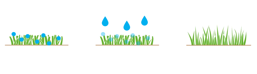 test graphic