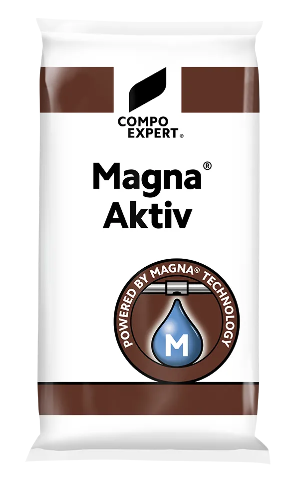 magna aktiv italia
