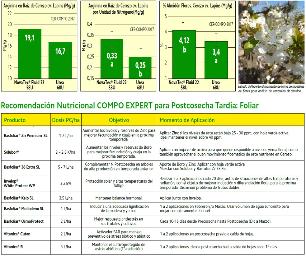post cosecha tardia cerezos foliar.png