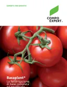 brochure basaplant