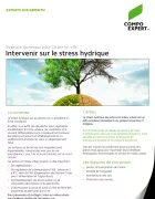 arbre en ville_itineraire_stress hydrique, biostimulant