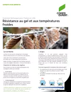 arbre en ville itineraire resistance gel et froid Vitanica P3