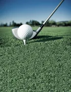 turf-public green_golf turf-title