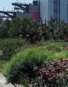 turf-public green-public green-h