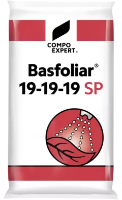 Basfoliar 19-19-19 SP