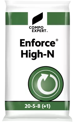 Enforce High-N