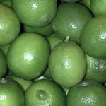 fruits citrus-title