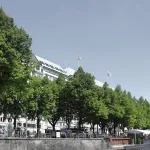 turf-public green-city trees-title
