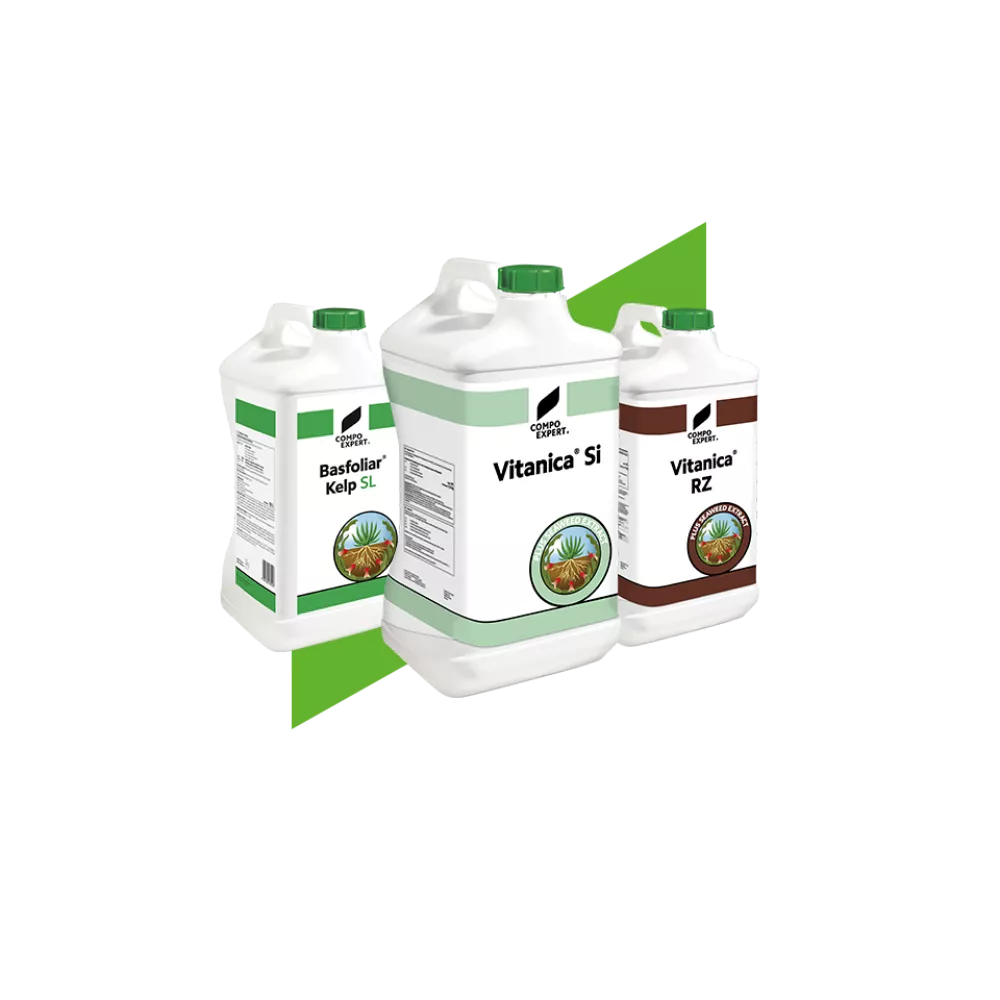 product-group-biostimulants-be.png