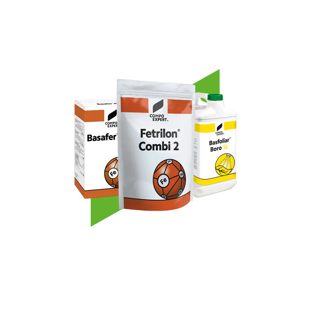 Micronutrient Fertilizers