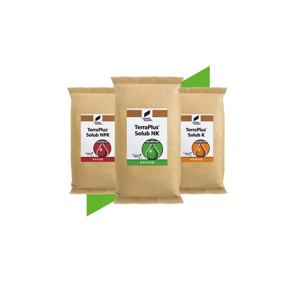 Organic and Organic-Mineral Fertilizers TerraPlus Solub