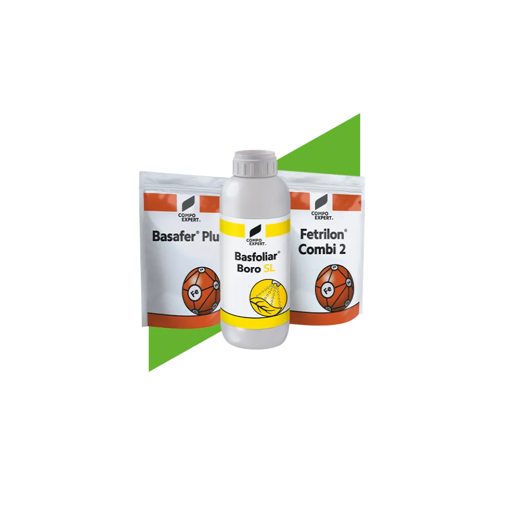 Micronutrient Fertilizers-MX