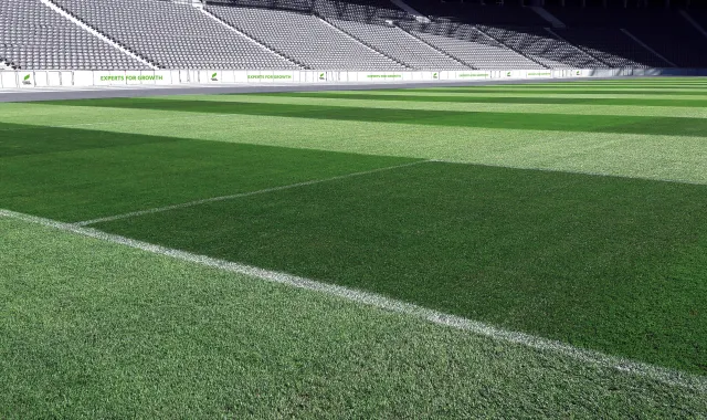 turf-public green_sports turf-title