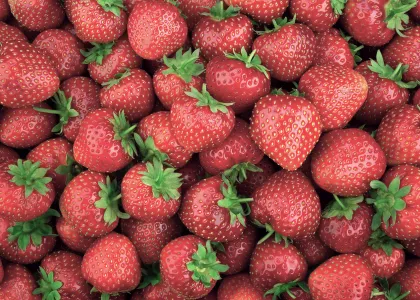 fruits berries-title