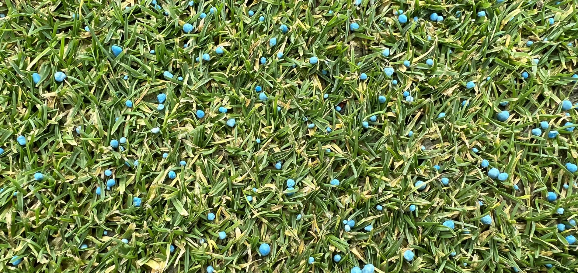 green turf granules header