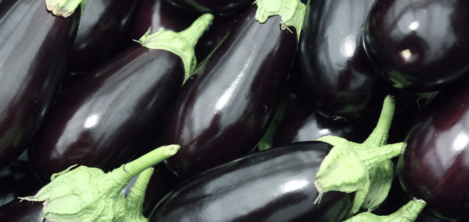 vegetables-aubergine-title