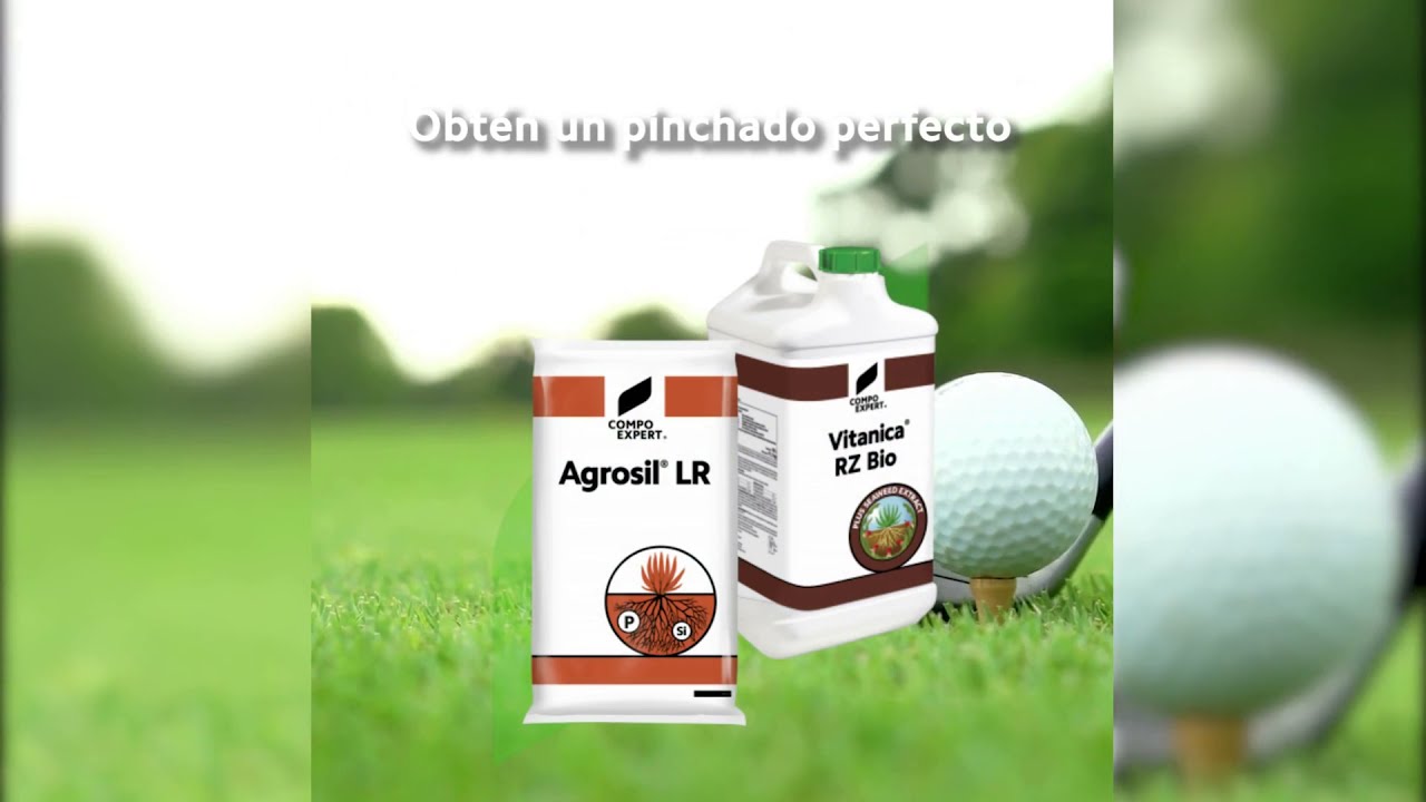 Acondicionador de suelos y bioestimulante Agrosil® LR y Vitanica® RZ Bio - Pinchado perfecto