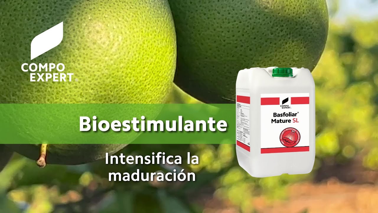 Bioestimulantes para cítricos - Basfoliar® Mature SL - COMPO EXPERT