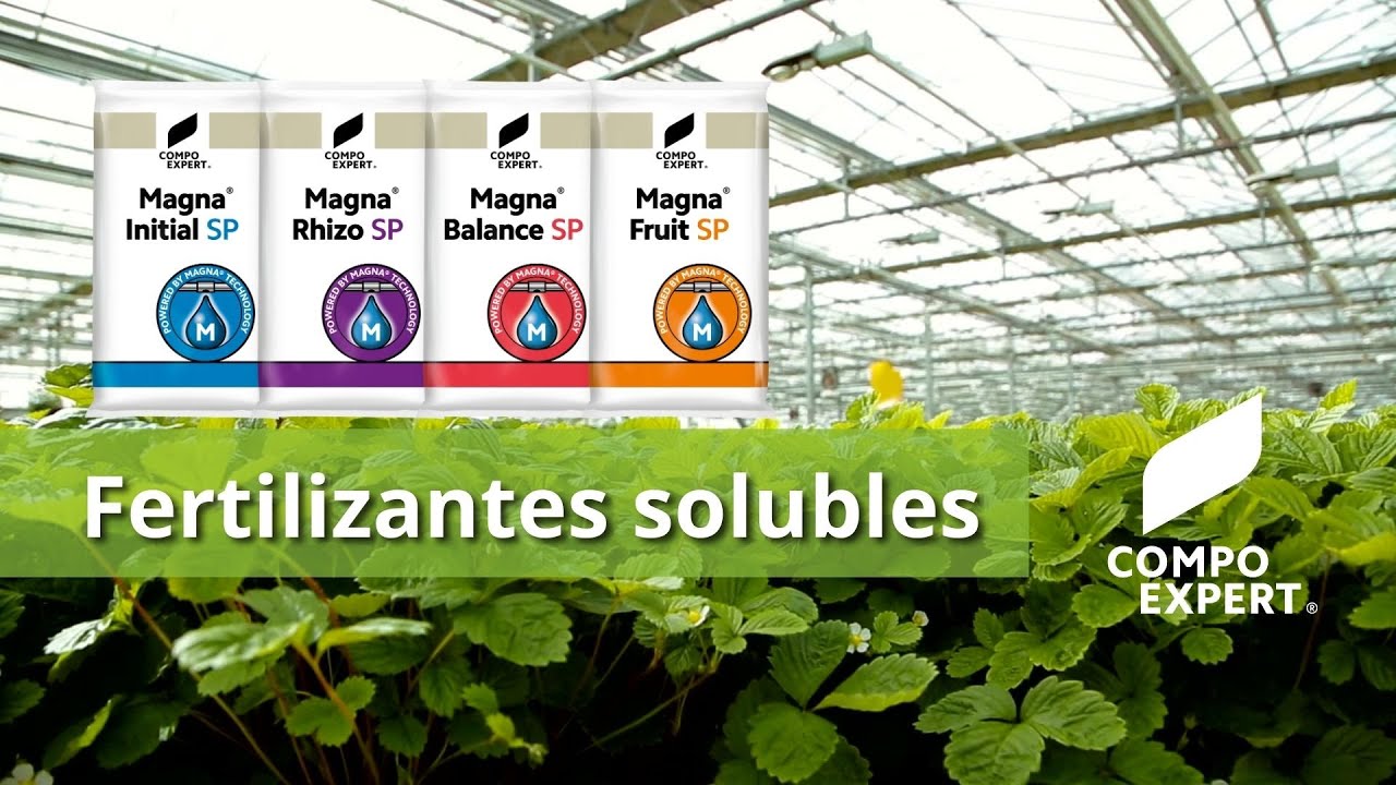 Fertilizantes solubles para fresa, tomate, berenjena, pimiento - Magna®  - COMPO EXPERT