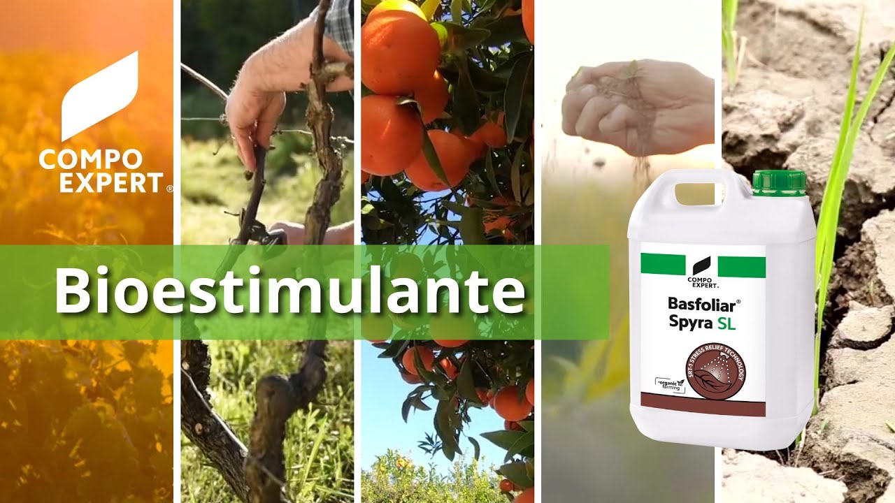 Bioestimulantes ANTI-ESTRÉS - Basfoliar® Spyra SL - COMPO EXPERT