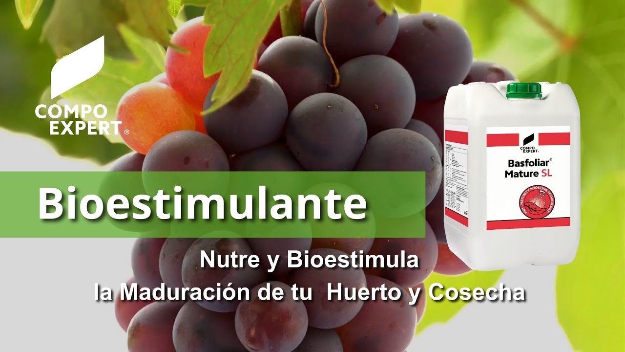 Basfoliar® Mature, Bioestimulantes para uva - COMPO EXPERT