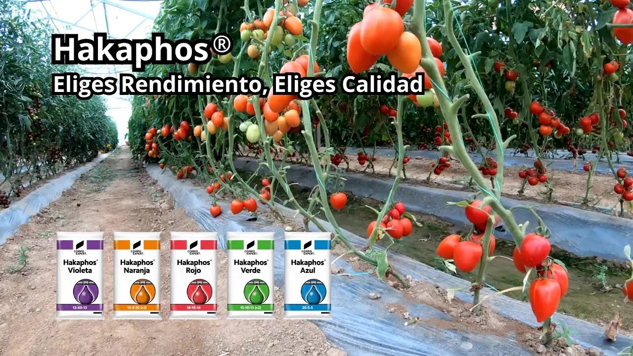 Fertilizantes solubles para frutales y hortícolas - COMPO EXPERT